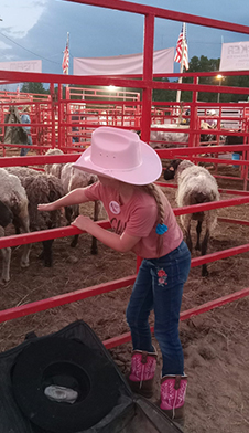 Rodeo mutton bustin